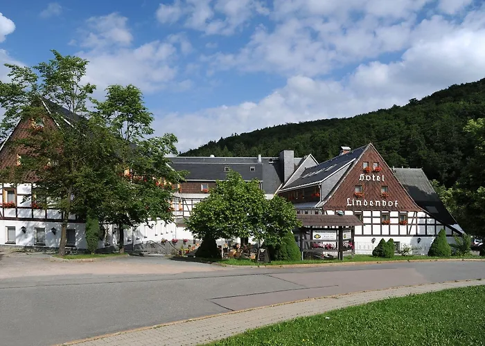 Отель Naturhotel Lindenhof Rechenberg-Bienenmuhle