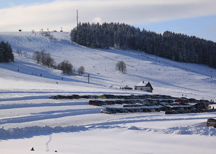 Naturhotel Lindenhof Отель 3*